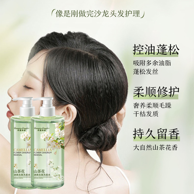 Camellia perfume de aminoácidos champú de baño refrescante puede eliminar la fragancia de los fabricantes de champú de pinza