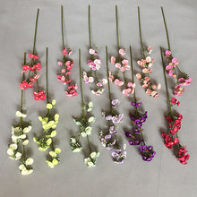 �̆�֧С������ ��@��ɫС����Y�Ҿ��bzӰ���߷��滨