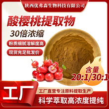 酸樱桃提取物30:1水溶性固体原料 酸樱桃粉 酸樱桃提取 厂家正品