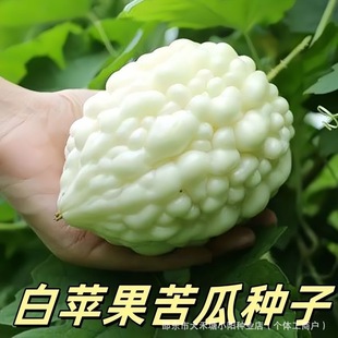 ���O����ϷN��̨���O����ϷN�����Բ�������߲˸���ˮ����ϷN