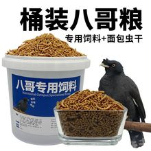 �˸猣����ϠI�B�Bʳ�B�Zʳ��ʳ������Zʳ��ʳ�˸�Z�͸�ʳ�Z