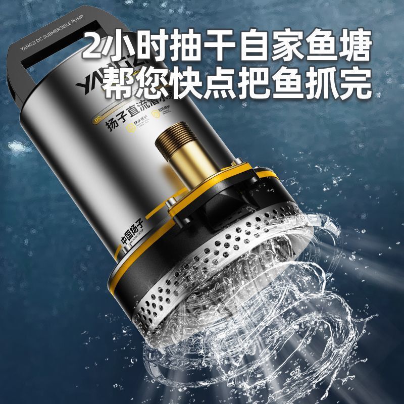 揚子 DC 水中ポンプ 12V48V72V バッテリー電気自動車水ポンプ家庭用農業灌漑ハイパワーウォーターポンプ|undefined