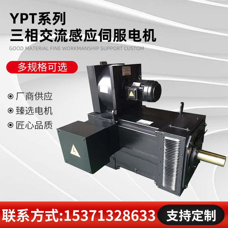 YPT180P-6三相交流感应伺服电机，90KW, 750RPM, 380V, 33.3Hz