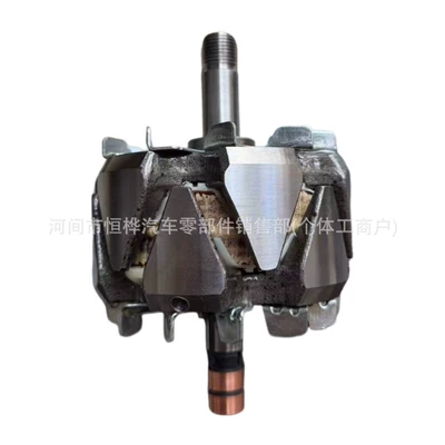 Bs110A Dizel Generator Rotoru ilə uyğun