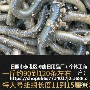 ������~��~���������������r����D��S�X�T�D���w��̫��