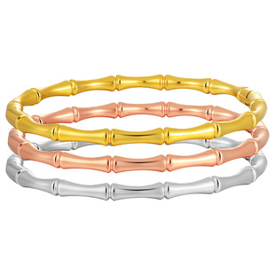 �W���羳�߱�ɫ�������Π�r�����CŮʿ����24K��ɫPVD�Ĥ