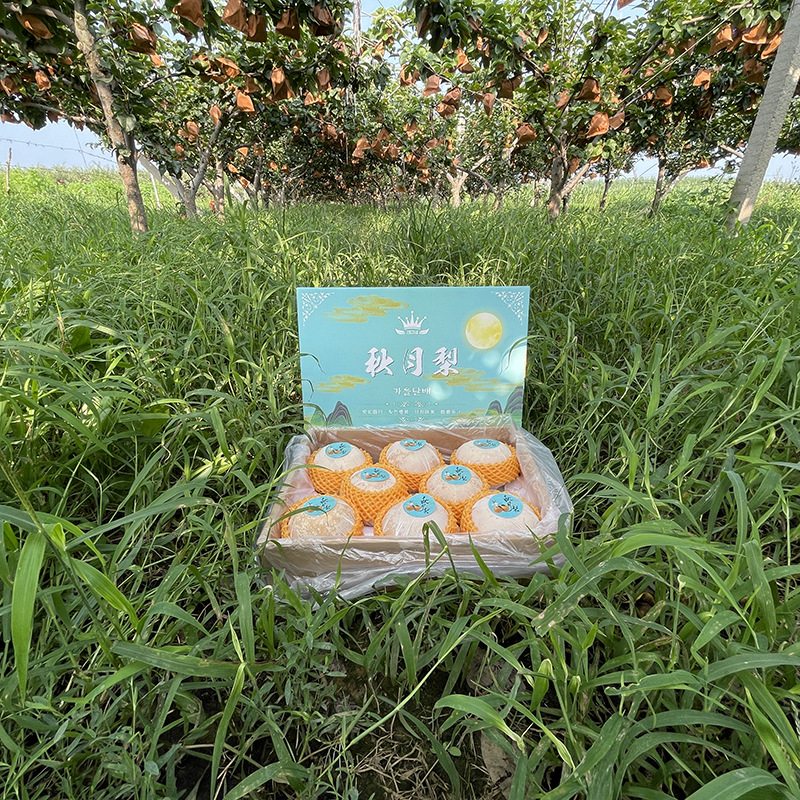 微信图片_20220816124440