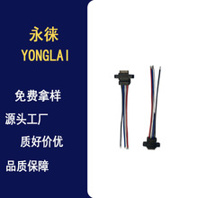 TYPE-Cĸ�� ���̶��� ������늿�USB�B�Ӿ�����PH4.0