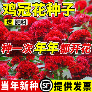 �u�ڻ��N���҃����Pβ����׷N����ֲ���ļ����N�_���̨ͥԺ����