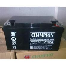 ־��CHAMPION��늳�NP38-12 12V38AH�C��UPS��늙� �������� EPS