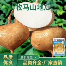 ���Rɽ�عϷN���r��ˈ@����ˮ���عϛ����N�Ѵ���ˮ��ɳ��N��