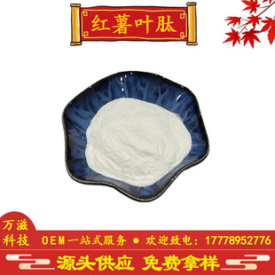 �t���~�� �t���~�;��� �t���~������ С���ӻ����� �t���~��ȡ��