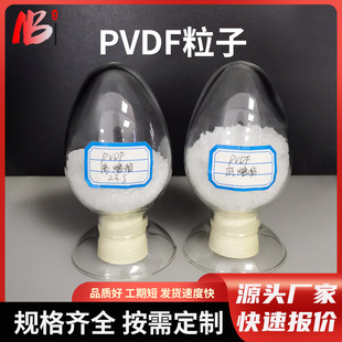 Pvdf Plastic Raw Materials Pvdf Powder Extrusion Grade High Temperature Resistant Corrosion Resistant Polluoroethylene Pvdf Particles