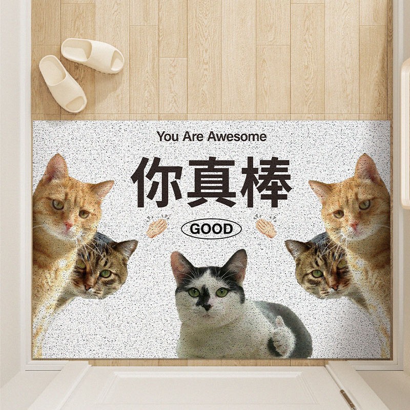 Trendy and quirky doormat for delivery items, home entrance doormat, easy-to-clean crystal velvet mat for home foyer
