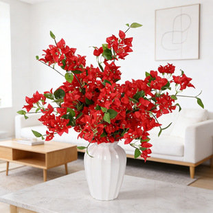 �羳�����bٻ���c���R�d��������÷��ֻ��c�b��滨֦�Ҿ�
