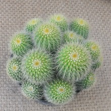 ��z����������^8-15�^�������������ֲ�����X��ݗ���k����