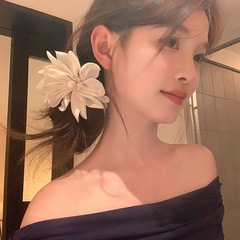 絶妙なパールヘッドバンド、雰囲気のある女の子のポニーテールヘアロープ、甘い花のデザインのヘアゴム、ヘアゴム、ヘッドバンド