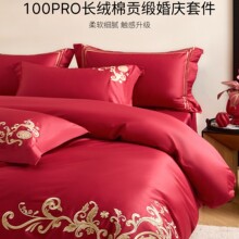 ��ʽ��c�̽��Y��100Pro�ļ��׼����L�q�޴�����Ʒȫ�޼tɫ���