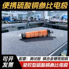 ��Яʽ����ͭ�αȵ缫���͹ܵ����������������� �����Ͳαȵ缫