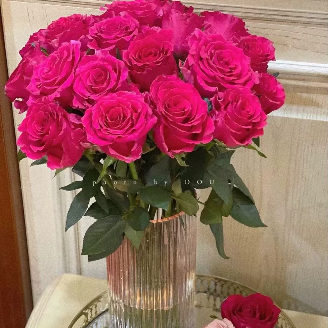 Горячие продажи новых сортов рассады роз Флойд Голдман Капучино плато красный субстрат почвы Кубок саженцы