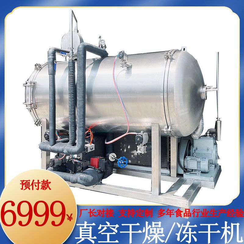 东北茶树菇菌类保鲜冷冻冻干机 混合果蔬脆低温干燥机 厂家供应机