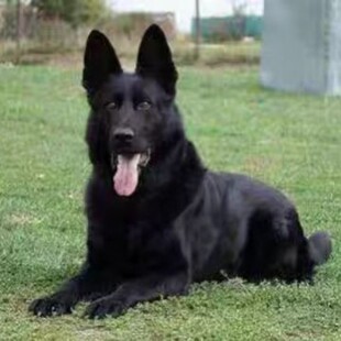 ���N�|������Ȯ���w��Ȯ�����oԺ��Ȯ���͵���Ȯ����ɫ�|������Ȯ