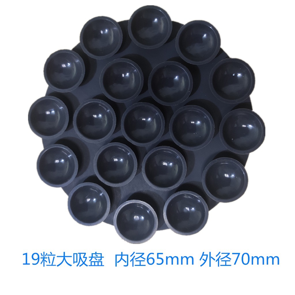 19粒大吸盘