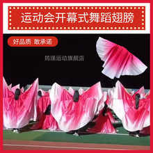 动会入场创意道具变色翅膀大型开幕式跳舞用舞蹈道具翅膀披风