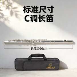 津宝长笛乐器JBFL-6248S闭孔16孔c调成人学生学校乐队通用西洋笛