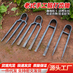 Hoe agricultural household tools manganese steel two-tooth hoe hand forging fork hoe garden three-tooth hoe vegetable hoe wholesale