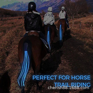 Cross-border hot sale outdoor equestrian supplies USB charging light bar luminous ponytail with decorative lights factory direct sales