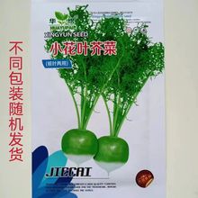 С���~��˷N���＾���^��˷N���˷N�����˴������˷N������