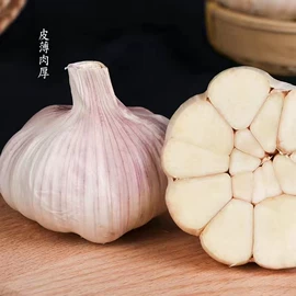 蒜;其他滋补;辣椒彩椒