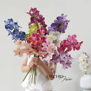 EVA�ָк����m�f���m���滨9�^�����m�ٻ���c�Ҿ��b廨�羳