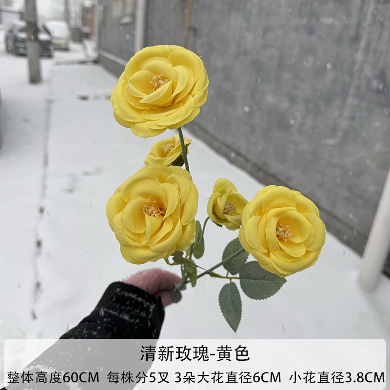 노란색