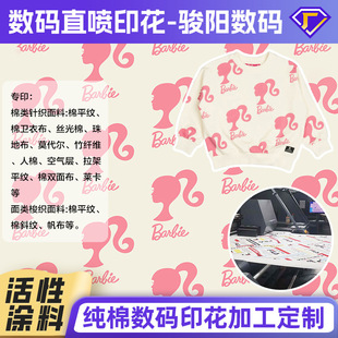 12����������ӡ���ӹ�����ë�����b����ֱ���p�����޲�����ӡ��