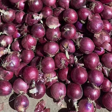 2025年红洋葱7-10厘米源头工厂洋葱可出口洋葱
