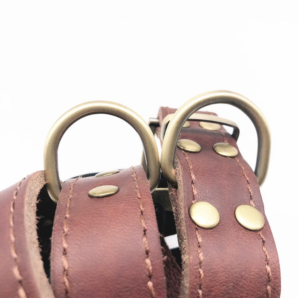 Ошейник из коровьей кожи