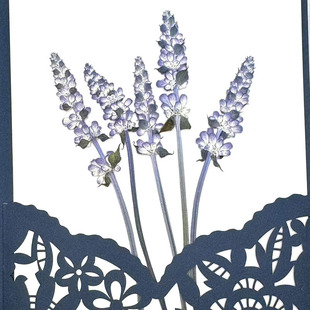 Sage Dried Flower Embossing DIY Material Children's Handmade Photo Frame Flower Candle Gum Dropping Plant Specimen Baffle Dried Flower