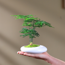 ����С�����������k�����辰�҃����ͻ���ֲ��΢���ļ�����Gֲ