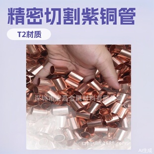 T2���~�� �S�����l �����и�oë�� ���͹� ����ë���� �����~��