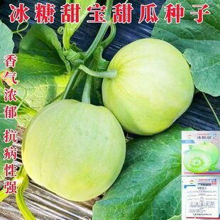 �����ձ�������ϷN�ӱ�Ƥ������ϷN�Ѹ߮a�ļ���������ˮ���N��