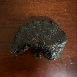 灵芝;其他药食同源