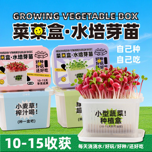 ����Nֲˮ��ֲ�����ԃ�ͯ�^���߲����L�ЌW����ӌ���С�YƷ���l