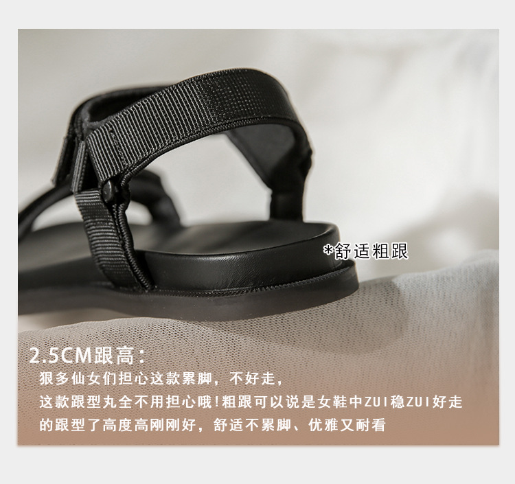 dengzhiqing1_09.jpg