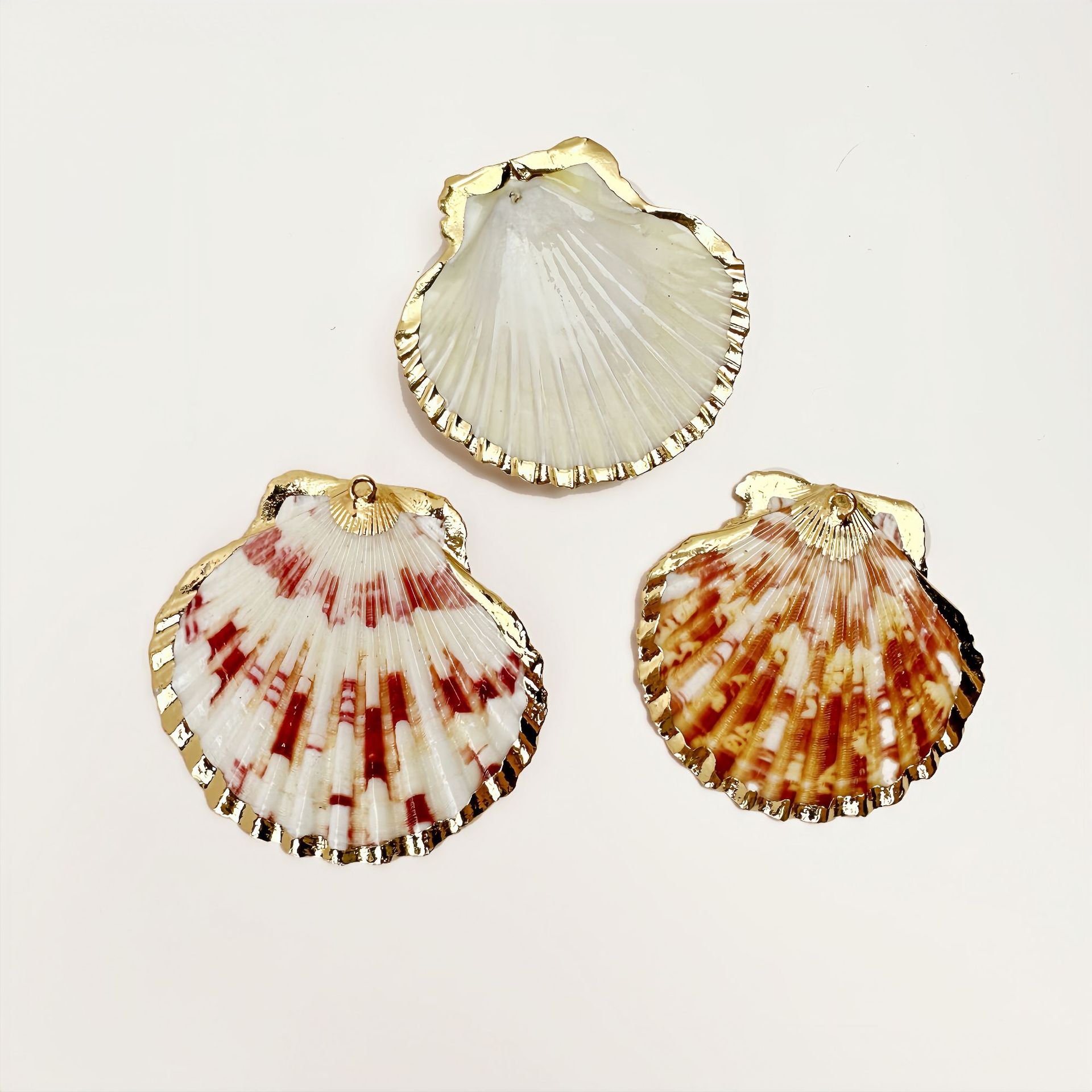 무지개 껍질 14개