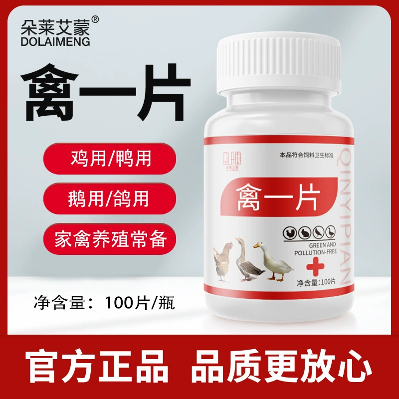 Птица и птица