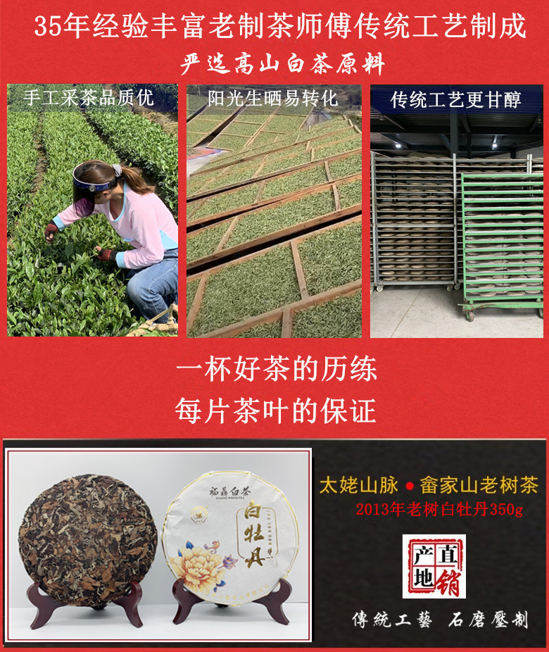 20093568682_49324157069_副本_副本