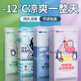 Enhanced Cooling Ice Patch, Ice Patch, Cooling and Cooling Kidsren's Summer Heat Relief Artifact, Mobile Phone Cooling, Summer Ice Compress