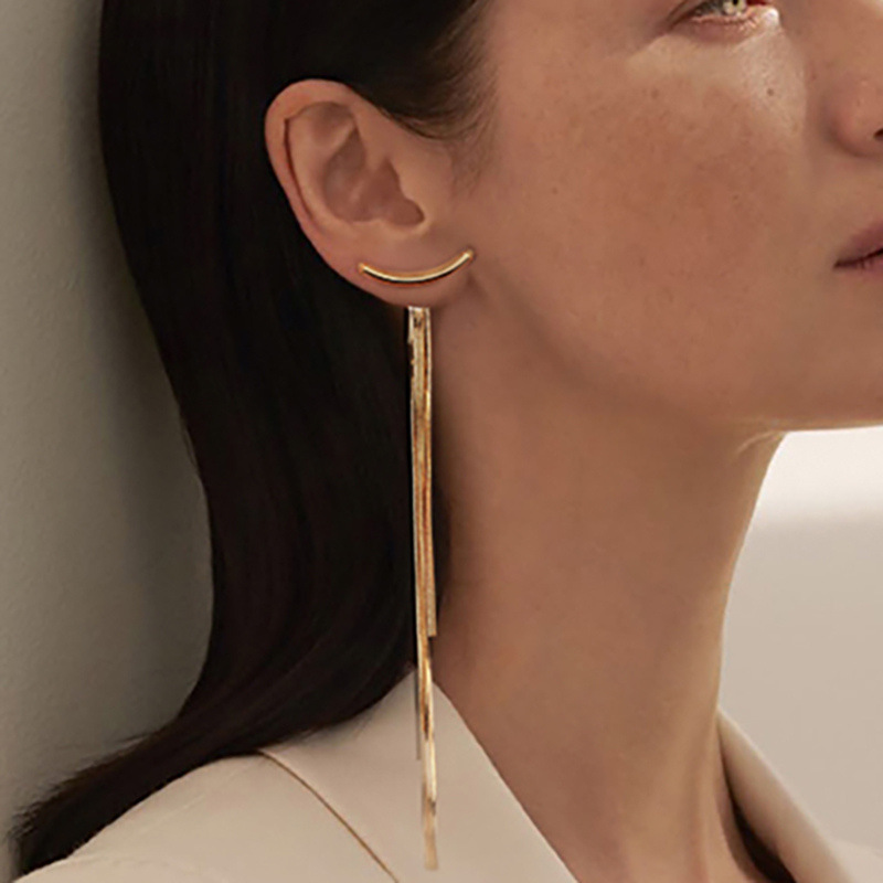Tassel Pattern Women'S Gender 1 Pair Fashion Tassel Metal Plating Women's Drop Earrings